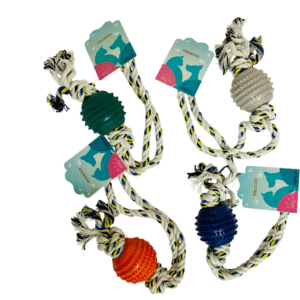 BRINQUENDO BOLA PET COM CORDA